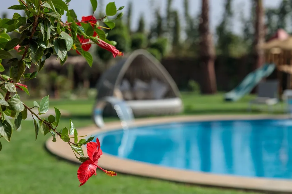 Villa Pura - Villa de luxe à Marrakech - photo 21