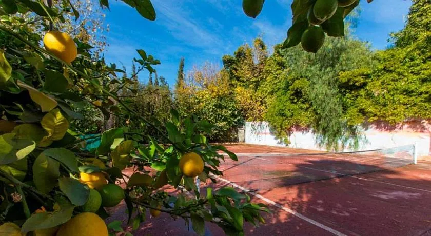 Villa Zahr - Villa de luxe à Marrakech - photo 16